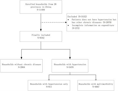 Catastrophic health expenditure of households with hypertension: a comparative study in China